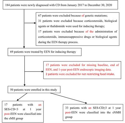 The SES-CD Could Be a Predictor of Short- and Long-Term Mucosal Healing After Exclusive Enteral Nutrition in Pediatric Crohn’s Disease Patients